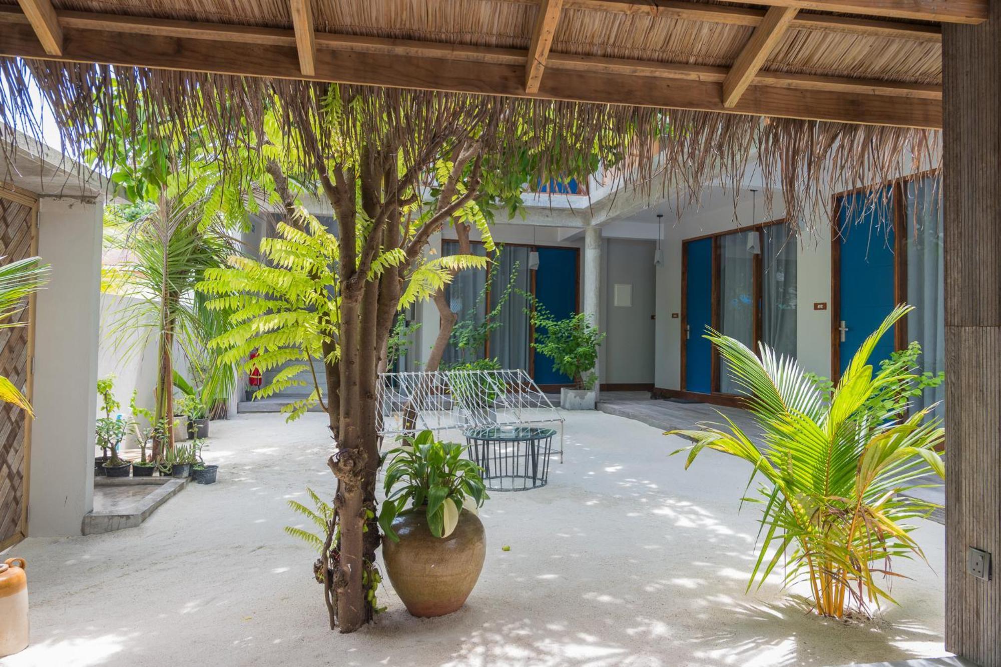 Bed and Breakfast The Palm Ray Rasdhoo Exterior foto